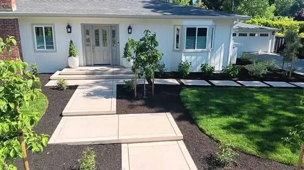 Tree care and Concrete