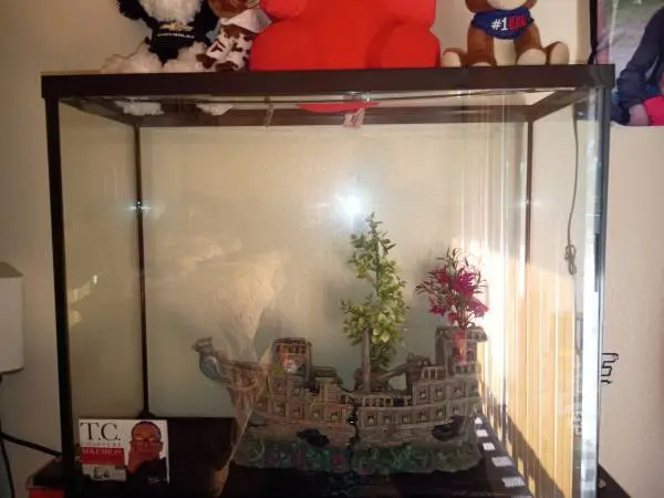 Fish Tank and Stand