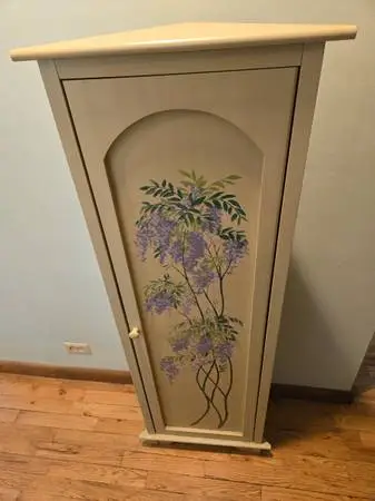 Curio case