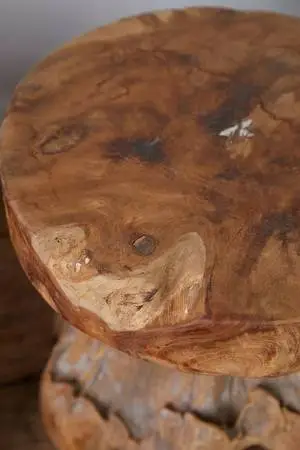 Large live edge all wood table/stand