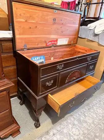 Chest