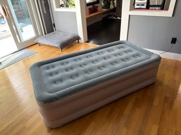 SoundAsleep Dream Series Raised TWIN Air Mattresses with Built-in Pump