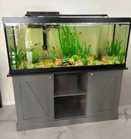 75 gallon fish tank
