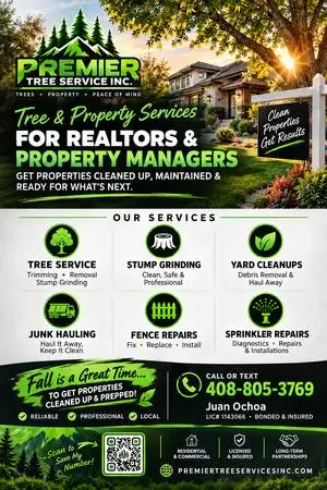 TREE CARE AND CLEAN UPS