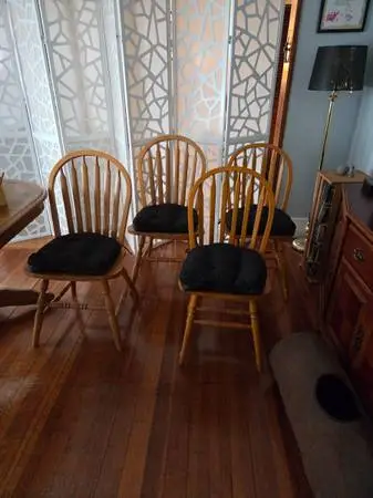 4 dining room chairs with new pads