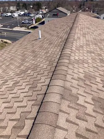 SHINGLE ROOF REPAIRS or RENEW, GUTTERS