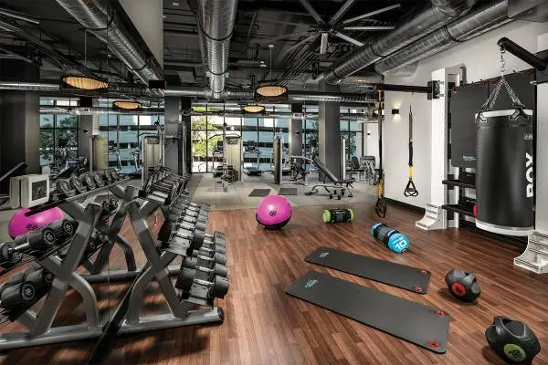 TMLP 14-mo. | Exclusively Yours: Designer 1 BR, Rooftop Deck + $1,000 Move Bonus