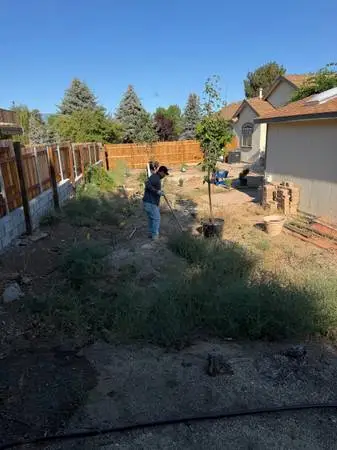 EcoGreen Lawn Care