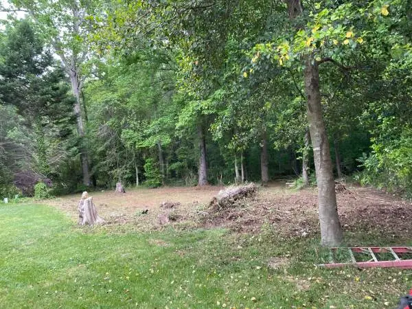 FALL CLEANUP SPECIAL ,GET YOUR YARD READY