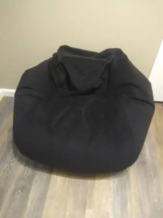 Almost Brand New Large Classic Bean Bag Chair from Wayfair