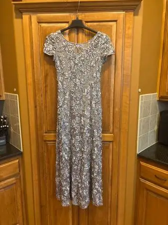 Formal Dress - Alex Evenings Size 8
