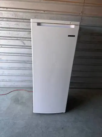 White Thomas Standing Freezer