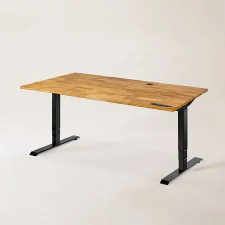 Eco-Friendly Electric Standing Desk - Carbon Negative