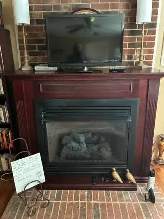 Propane Logs and Insert