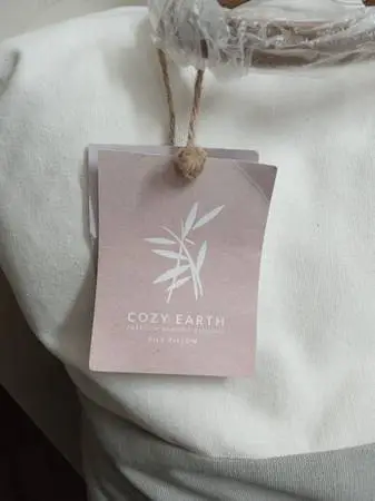 Cozy Earth Silk Pillow