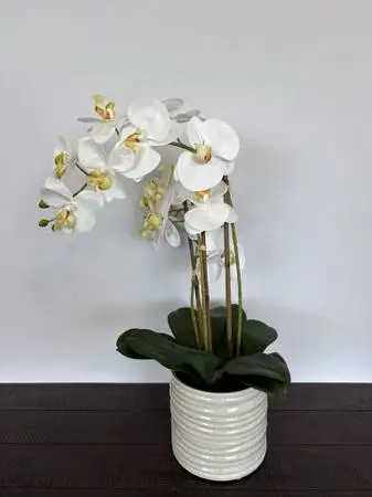 Faux 3 Stem Orchid In White Ceramic Pot- 7X24H