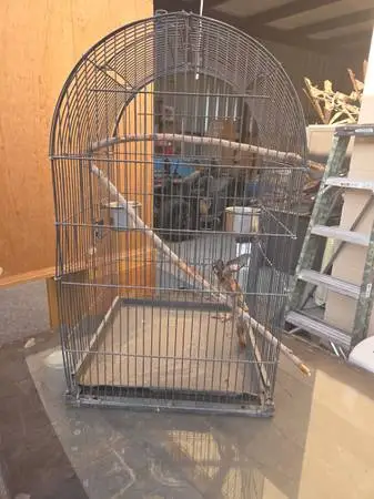 Bird Cage