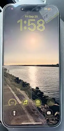 Unlocked Silver Iphone 15 ProMax