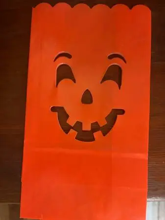 New 20 pc Halloween Luminary decor
