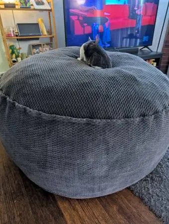 Bean Bag Gray Plush Bag with Washable Cover