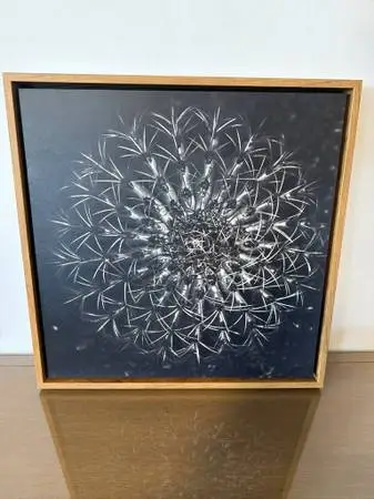 Succulent II by Barclay Butera- 24X3X24