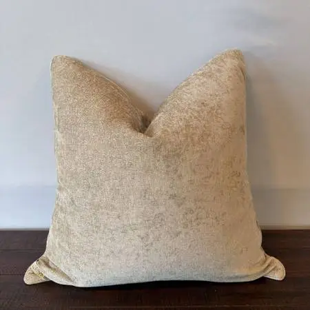 Callisto Velvet Decorative Pillow- 22X22