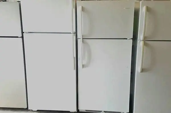 Top and Bottom Fridge Refrigerator