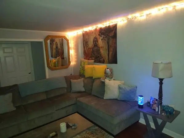 Sectional living room couch set